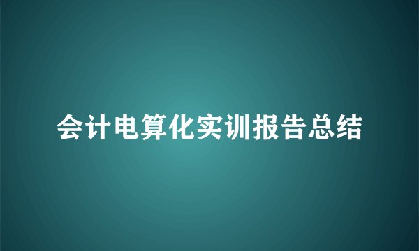 会计电算化实训报告总结
