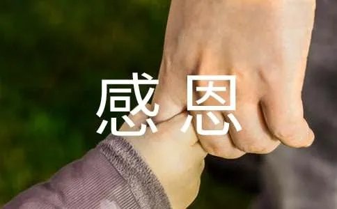 感恩父母作文100字