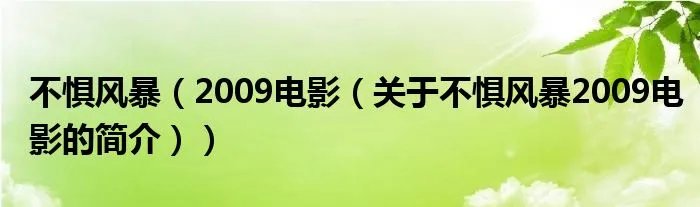 不惧风暴（2009电影（关于不惧风暴2009电影的简介））