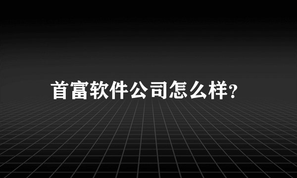 首富软件公司怎么样？
