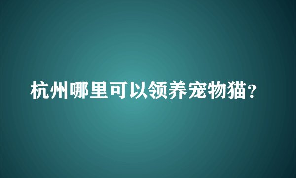 杭州哪里可以领养宠物猫？