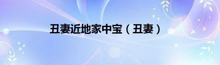 丑妻近地家中宝（丑妻）