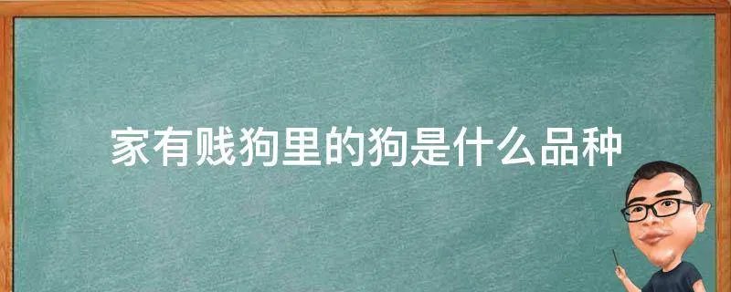家有贱狗里的狗是什么品种
