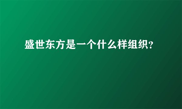 盛世东方是一个什么样组织?