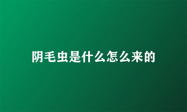 阴毛虫是什么怎么来的