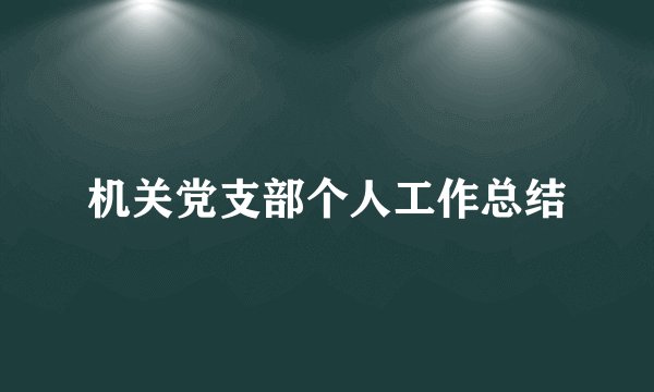 机关党支部个人工作总结