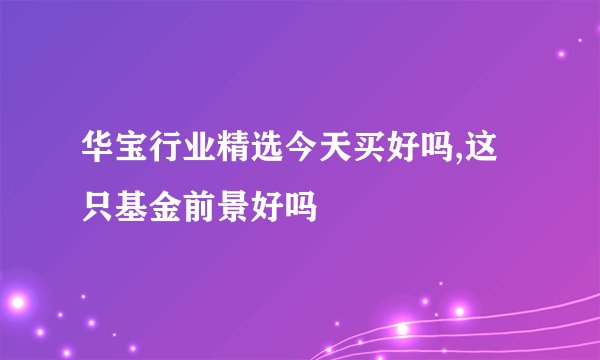 华宝行业精选今天买好吗,这只基金前景好吗