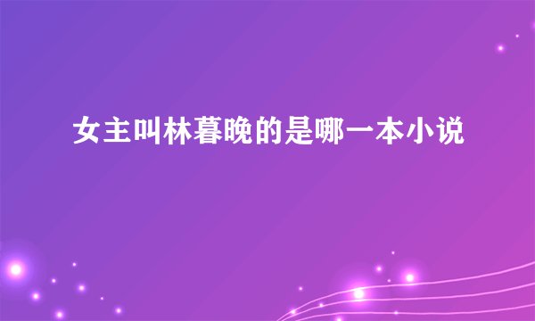 女主叫林暮晚的是哪一本小说