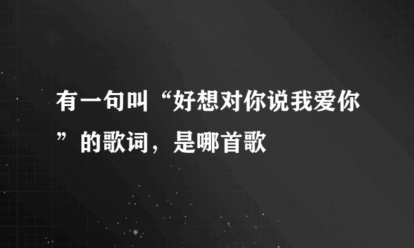 有一句叫“好想对你说我爱你”的歌词，是哪首歌