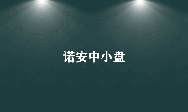 诺安中小盘