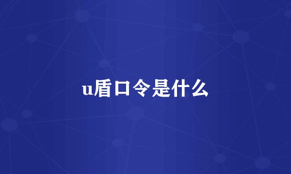u盾口令是什么