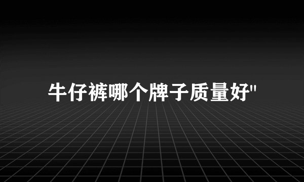 牛仔裤哪个牌子质量好