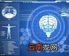 科技资料