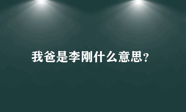 我爸是李刚什么意思?