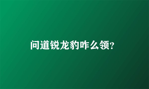 问道锐龙豹咋么领?