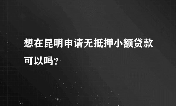 想在昆明申请无抵押小额贷款可以吗？