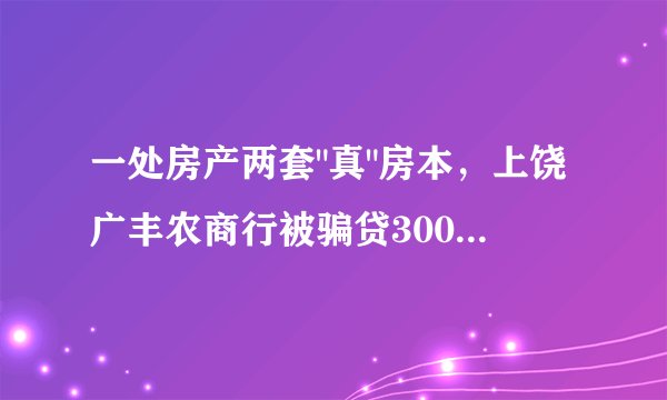 一处房产两套