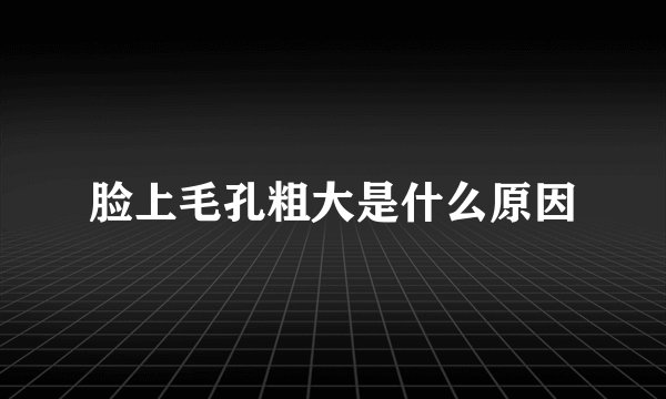 脸上毛孔粗大是什么原因