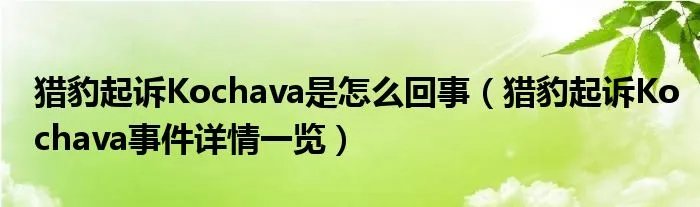 猎豹起诉Kochava是怎么回事（猎豹起诉Kochava事件详情一览）