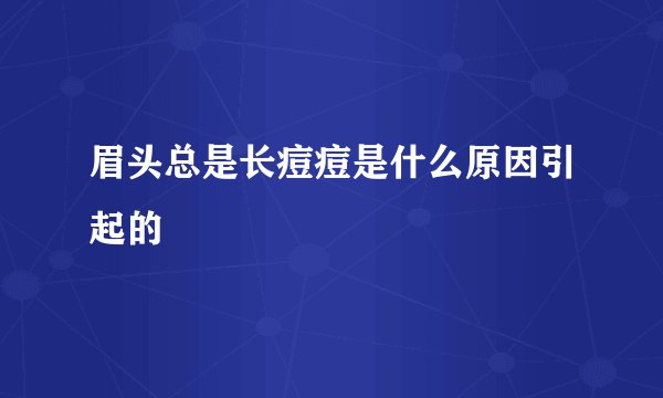 眉头总是长痘痘是什么原因引起的
