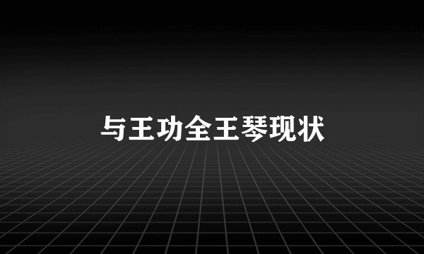 与王功全王琴现状
