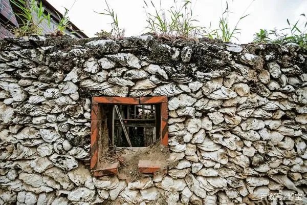 我国哪个村子是用生蚝壳建房屋的?