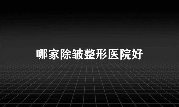 哪家除皱整形医院好