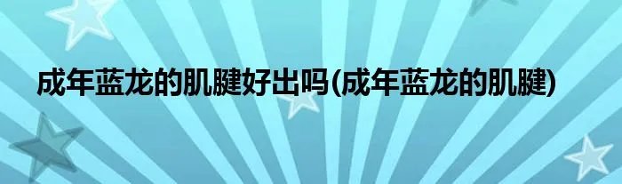 成年蓝龙的肌腱好出吗(成年蓝龙的肌腱)
