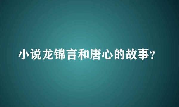 小说龙锦言和唐心的故事？