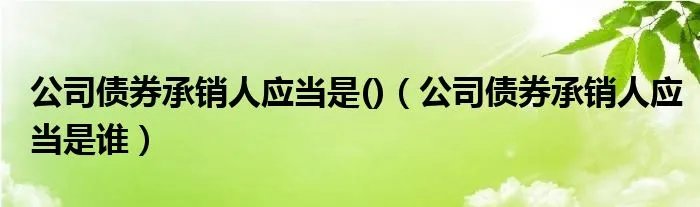 公司债券承销人应当是()（公司债券承销人应当是谁）