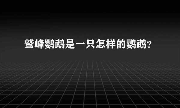 鹫峰鹦鹉是一只怎样的鹦鹉？