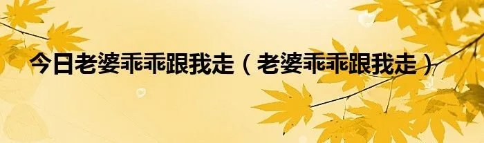 今日老婆乖乖跟我走（老婆乖乖跟我走）