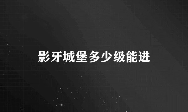 影牙城堡多少级能进