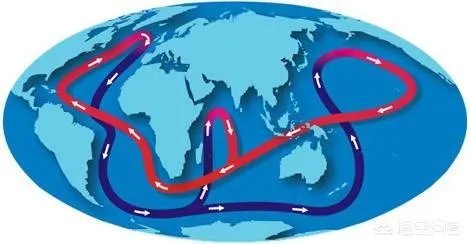 近来北极圈罕见32℃高温,高温成因是什么?北极熊受此影响会走向灭绝吗?