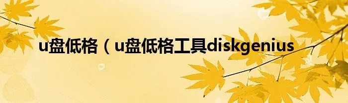 u盘低格（u盘低格工具diskgenius
