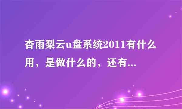 杏雨梨云u盘系统2011有什么用，是做什么的，还有这里所说的镜像是什么意思？