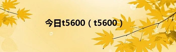 今日t5600（t5600）