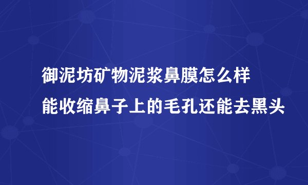 御泥坊矿物泥浆鼻膜怎么样 能收缩鼻子上的毛孔还能去黑头
