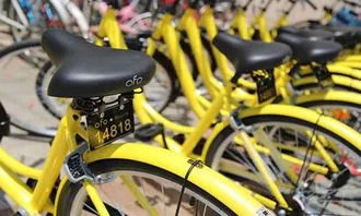 老伯冒着严寒打捞河中共享单车,如何更好的管制共享单车?