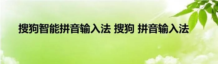 搜狗智能拼音输入法 搜狗 拼音输入法