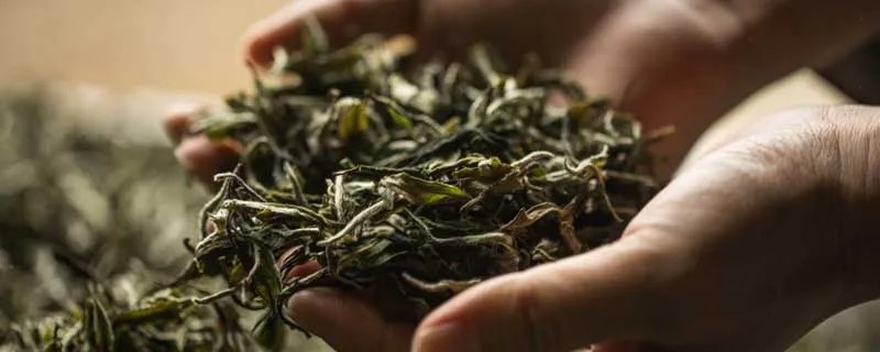 茗德是哪个国家的品牌 茗德是什么品牌