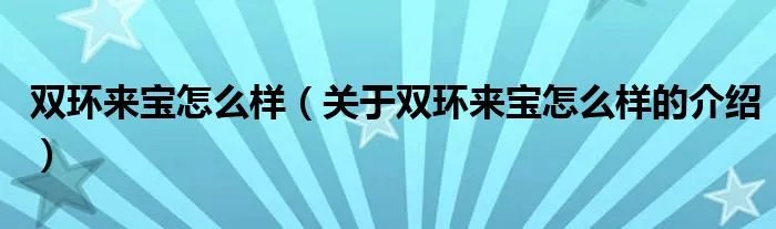双环来宝怎么样（关于双环来宝怎么样的介绍）