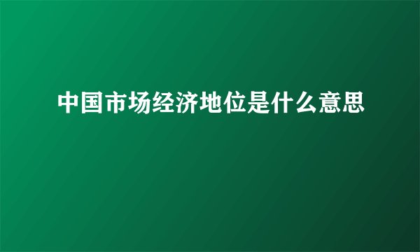 中国市场经济地位是什么意思