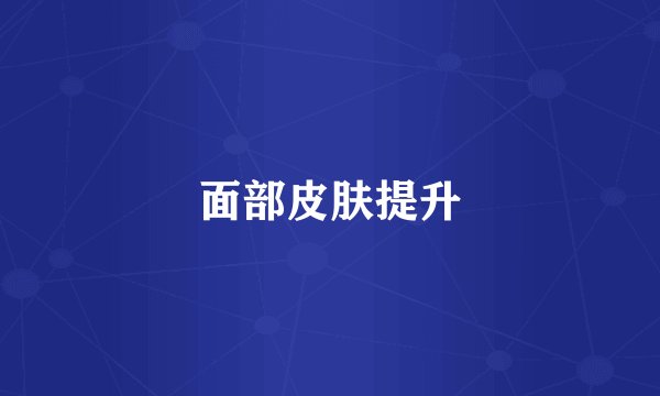面部皮肤提升