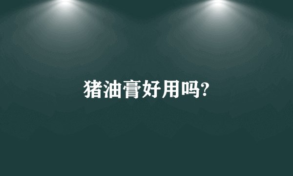 猪油膏好用吗?