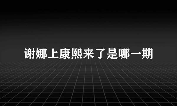 谢娜上康熙来了是哪一期