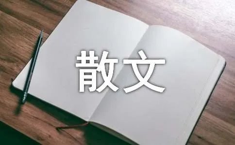 伞下一肩雨叙事散文