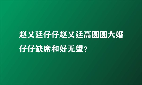 赵又廷仔仔赵又廷高圆圆大婚仔仔缺席和好无望？