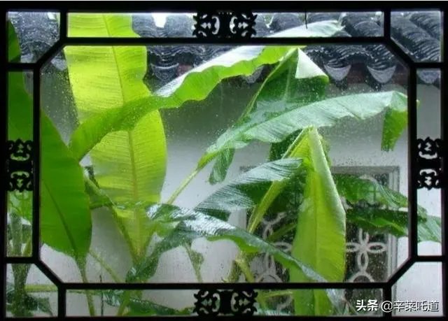 上联:短歌谁和,风动梨花朵。下联怎么对?