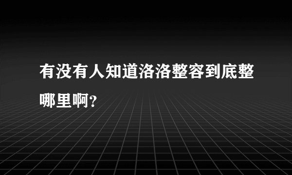 有没有人知道洛洛整容到底整哪里啊？